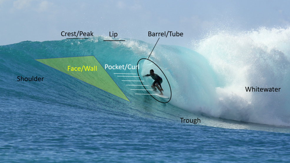 surf slang